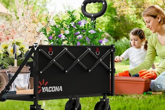 This Collapsible Cart Is Just $34 Shipped With Prime (Reg. $80)