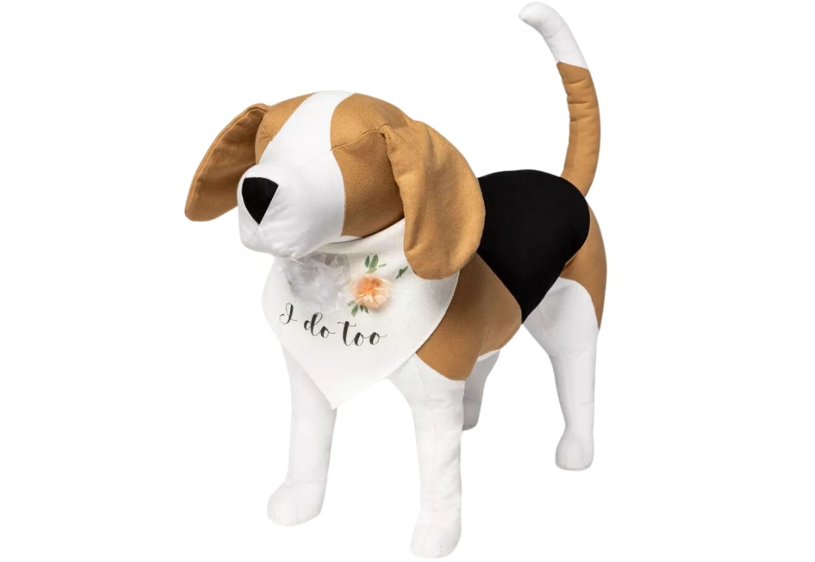 Boots & Barkley Dog Bandana