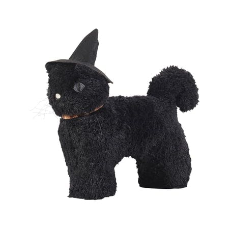 Witch Black Cat Decorative Pillow