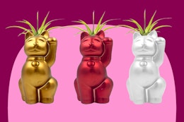 LiveTrends Air Plant Set of Lucky Cats in three colors