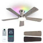 Ceiling Fan with Light