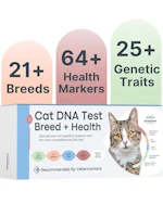 Basepaws Cat DNA Test Kit