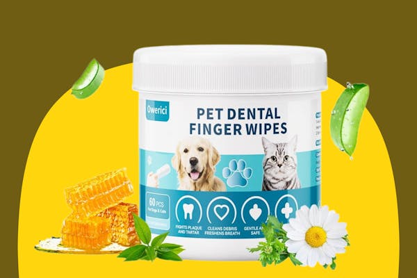 Pet Dental Finger Wipes, Only $3.99 on Amazon