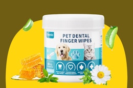 Pet Dental Finger Wipes, Only $4 on Amazon card image