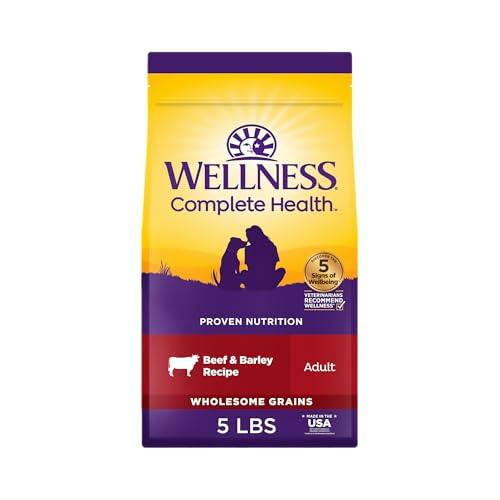 Wellness Adult Dry Dog Food