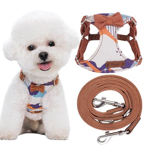 Dog Harness and Leash Set