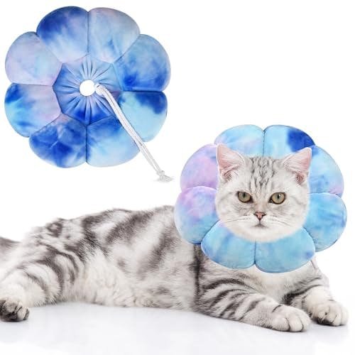 Flower Cat Cone