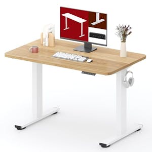 Electric Standing Desk