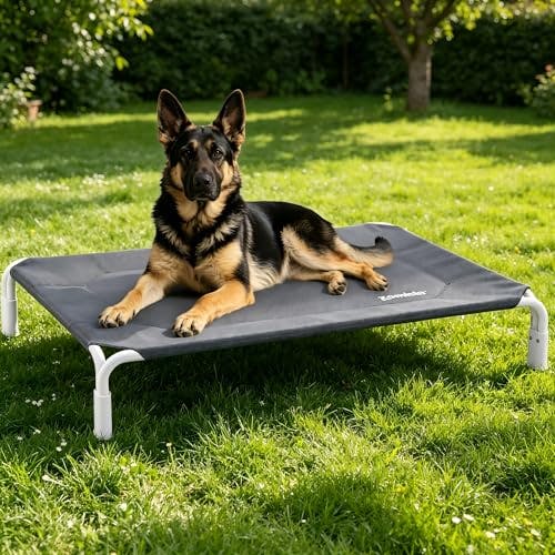 Elevated Dog Bed