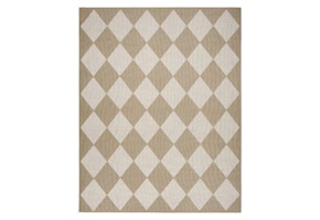 Nourison Area Rug