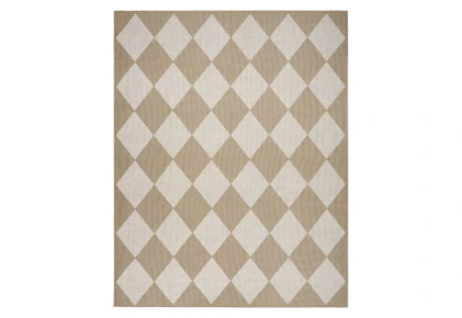 Nourison Area Rug