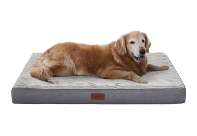 Ophanie Orthopedic Dog Bed