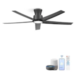 Smart Ceiling Fan