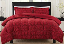 Pem America Scroll Comforter Set