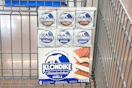 klondike ice cream in shopping cart