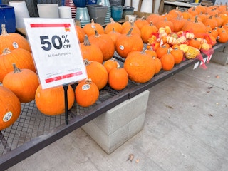 lowes pumpkins sale b 2022 1666877274 1666877274