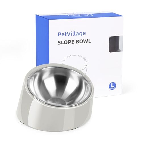 Tilted Dog Bowl