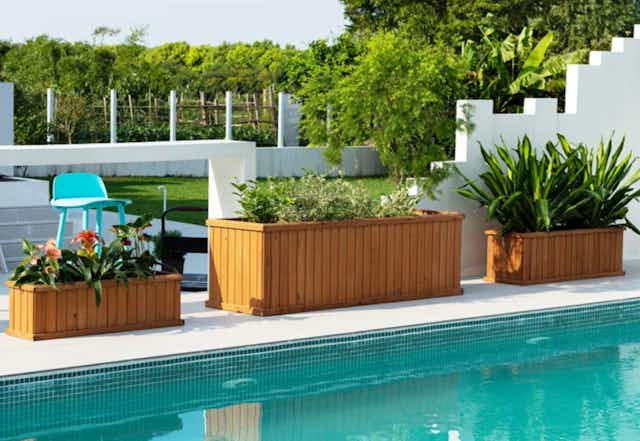 Get Your Garden Started With Planters Priced at $38+ Shipped at Wayfair  card image