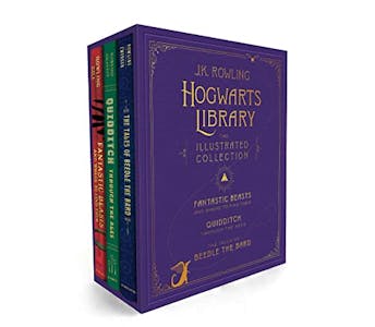 Harry Potter Hogwarts Library Set