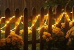 Solar Rope Lights
