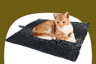 a thermal pet bed