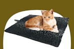 a thermal pet bed