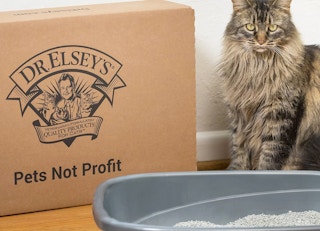 amazon dr elseys litter 2022 1 1645642229 1645642229
