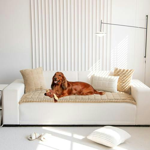 Sofa Cover