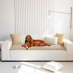 Sofa Cover