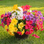 Artificial Flowers