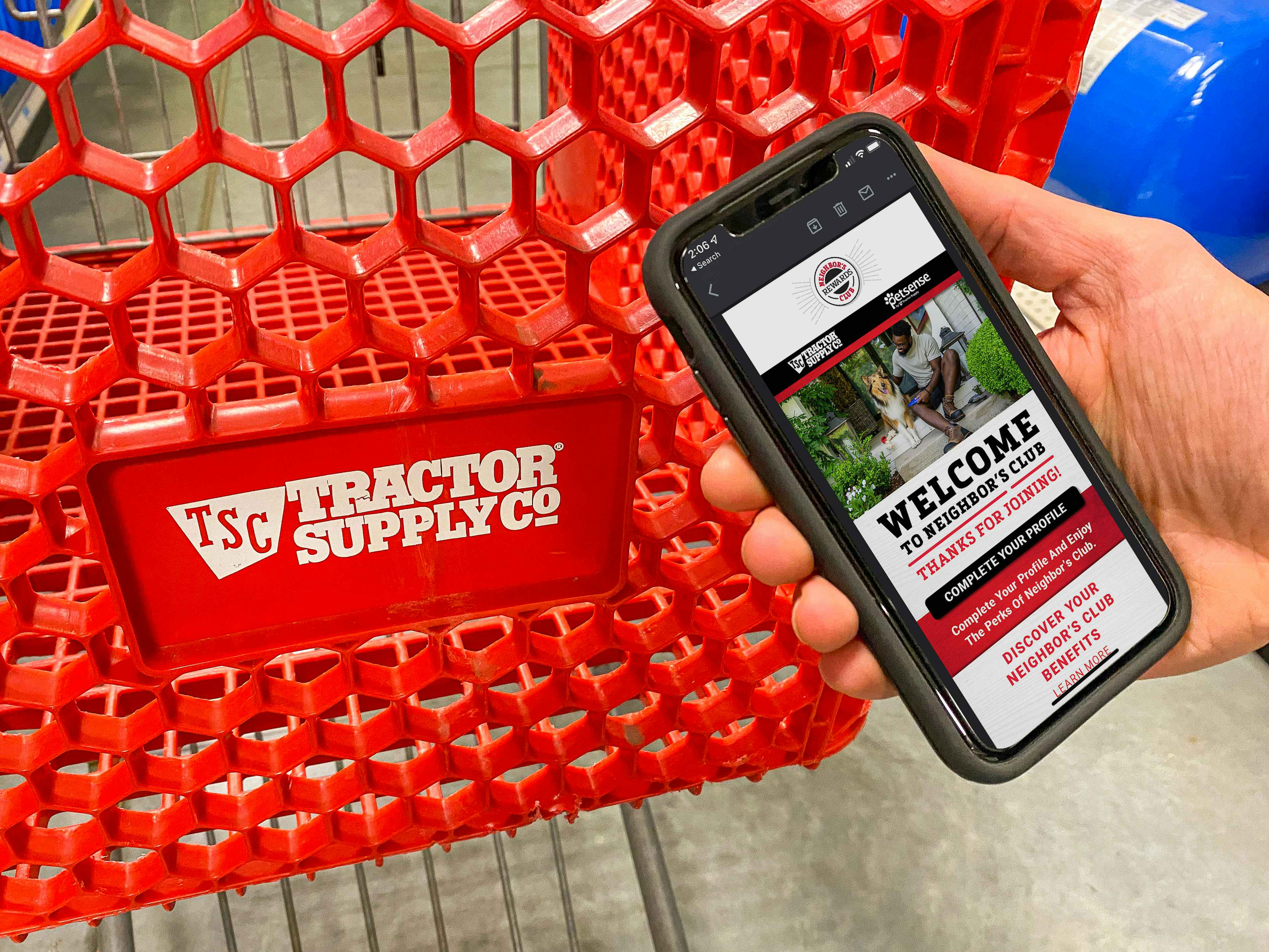 A person holding their phone displaying a welcome email from the TSC Neighbor's Club next to a Tractor Supply shopping cart.