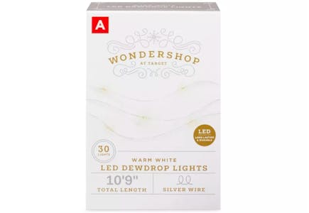 Battery-Operated LED Lights