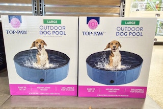 dog pools
