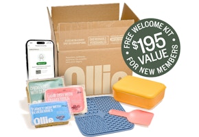 Ollie Dog Food Box + Free Lick Mat