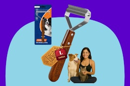 KIZO ESLO Dog Brush on a purple background.