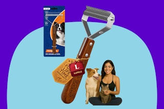 KIZO ESLO Dog Brush on a purple background.