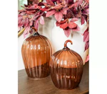 Glass Pumpkin Cloches Set