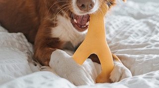 amazon benebone dog chew treat screenshot 1670276459 1670276459