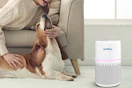 Walmart air purifier