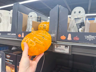 aldi-finds-6