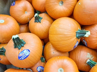 walmart-pumpkins-2021