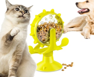 Amazon-Automatic-Dog-Feeder-2022