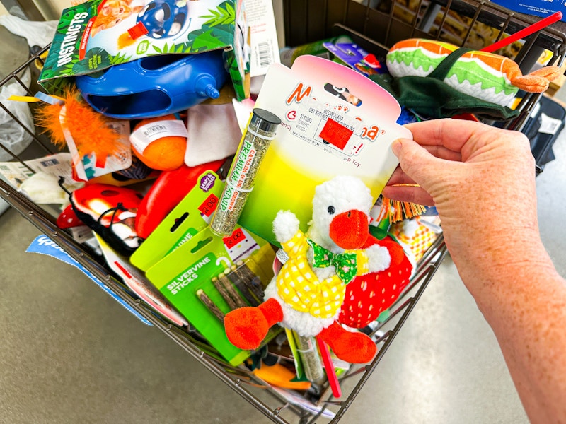 petco-clearance-081225-17