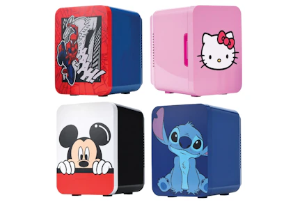 Character Mini Fridge