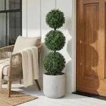 Boxwood Triple Ball Topiary Tree