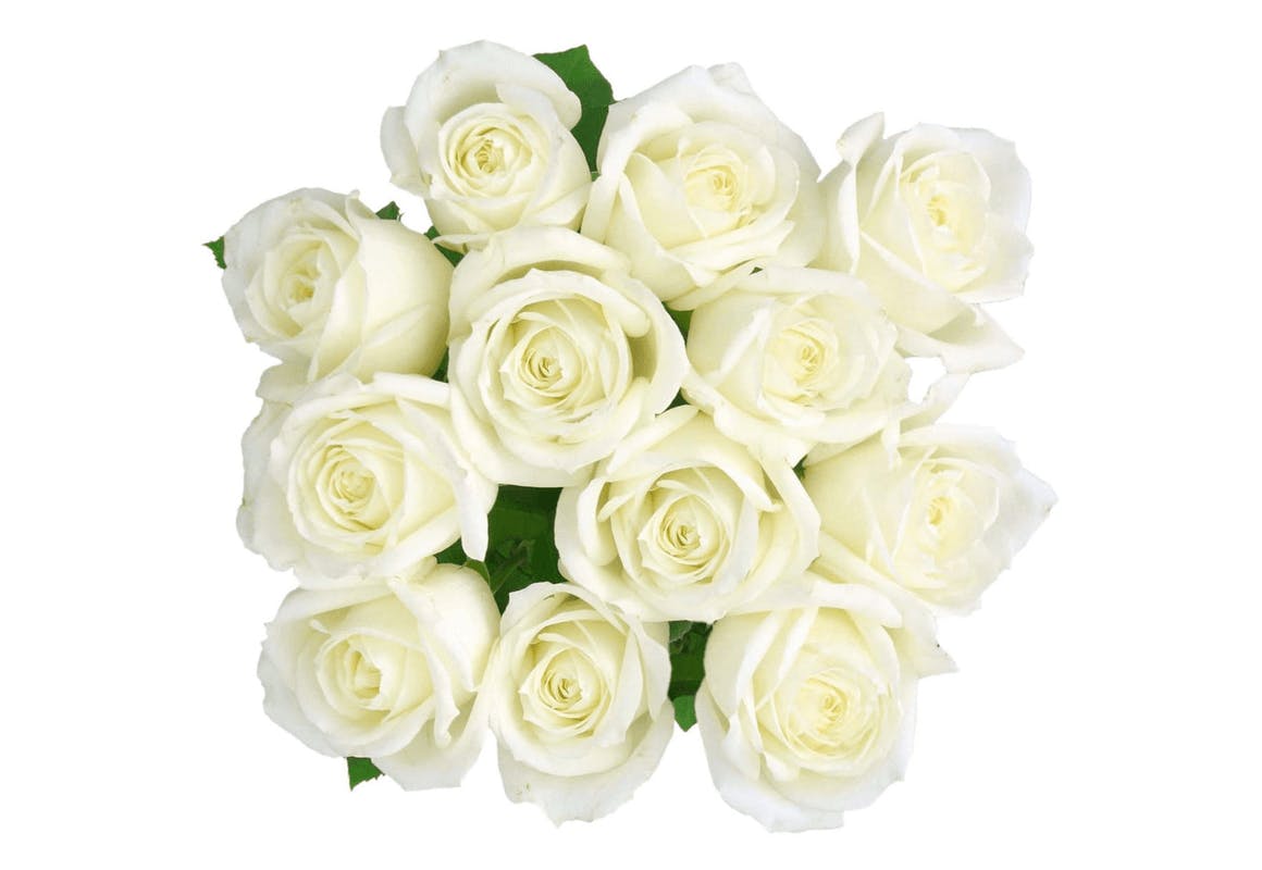 Fresh-Cut Solid Roses Flower Bunch