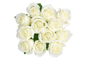 Fresh-Cut Solid Roses Flower Bunch