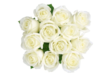 Fresh-Cut Solid Roses Flower Bunch