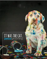 Petco Physical Gift Card
