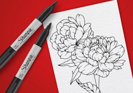 Sharpie markers next to a drawing on a red background